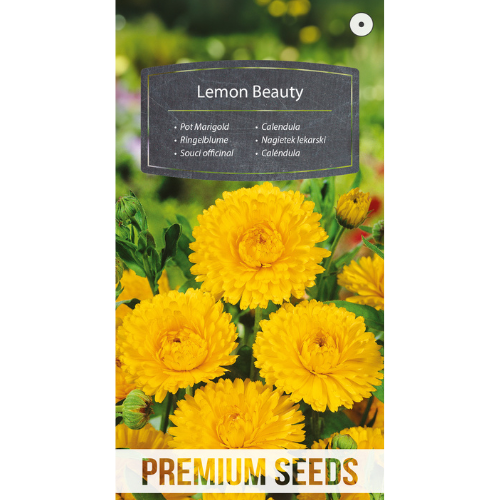 Ringblomma - Lemon Beauty