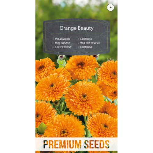 Ringblomma - Orange Beauty