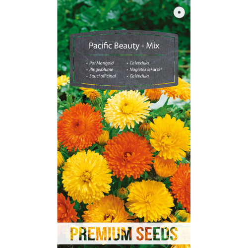 Ringblomma - Pacific Beauty