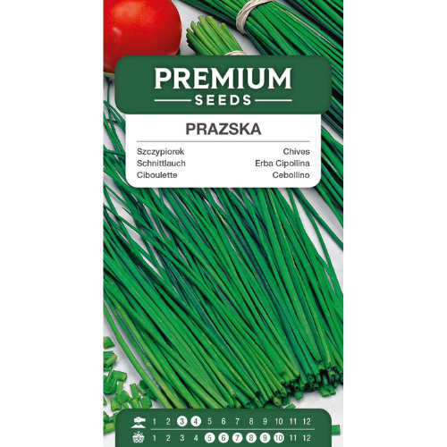 Chives - Prazska