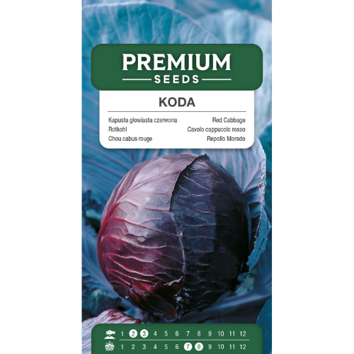 Red cabbage Code