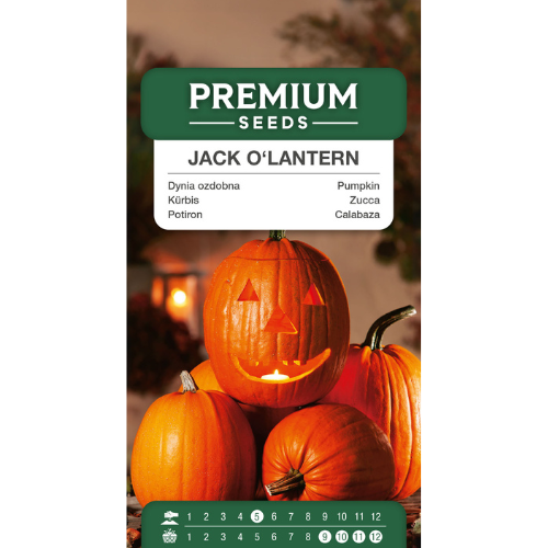 Pumpa - Jack O&