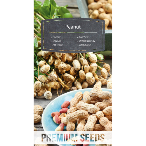 Peanut