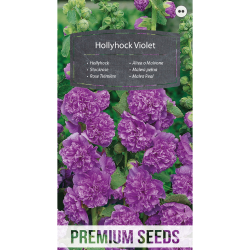 Stockros Violet