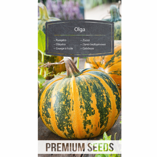 Pumpa - Olga