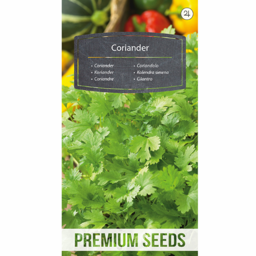 Coriander