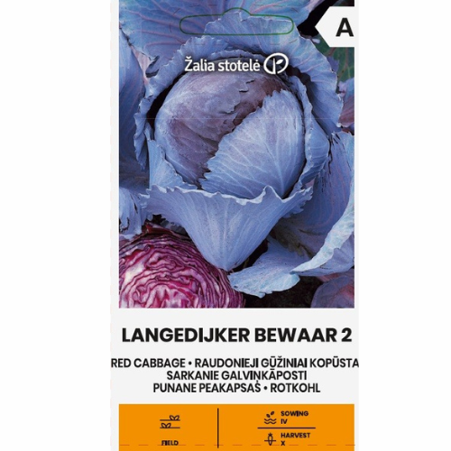 Red cabbage - Langedijker Bewaar 2