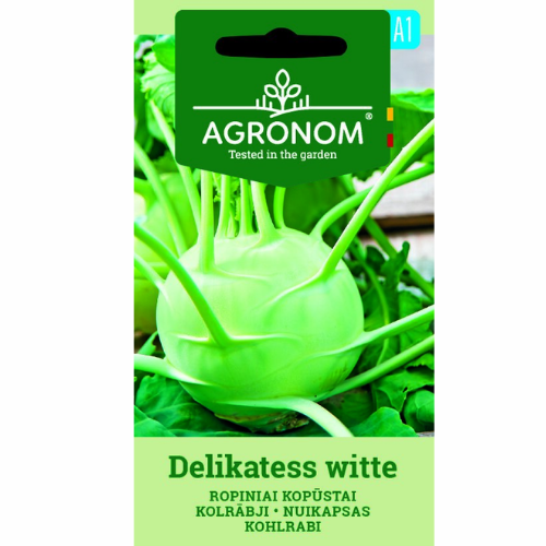 Kohlrabi - Delikates White