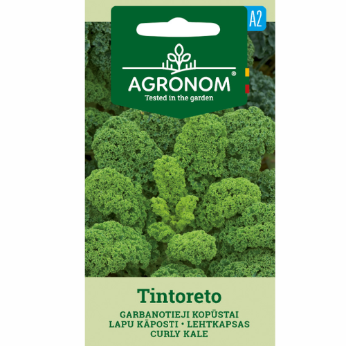Grönkål - Tintoreto