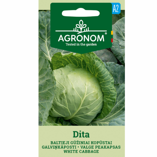 White cabbage - Dita