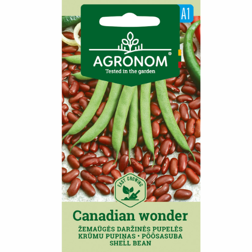 Snap bean - Canadian Wonder