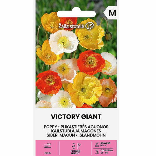 Poppy - Victory Giant