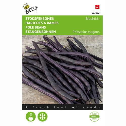 Climbing Bean - Blauhilde