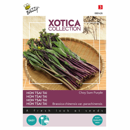 Blomsellerikål - Hon Tsai Tai Choy Sum Purple