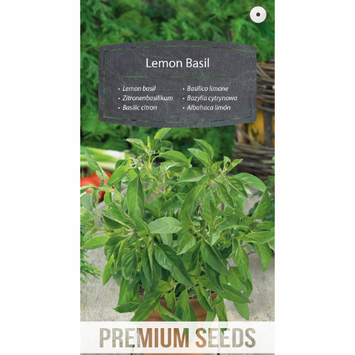 Lemon basil