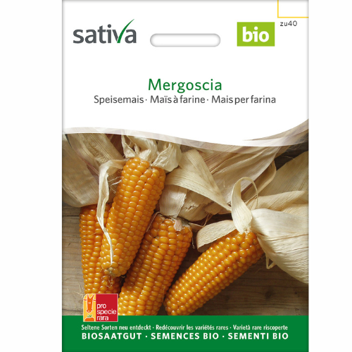Ecological Heritage Corn - Mergoscia