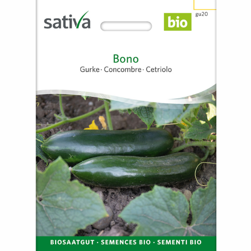 Free-range cucumber – Bono