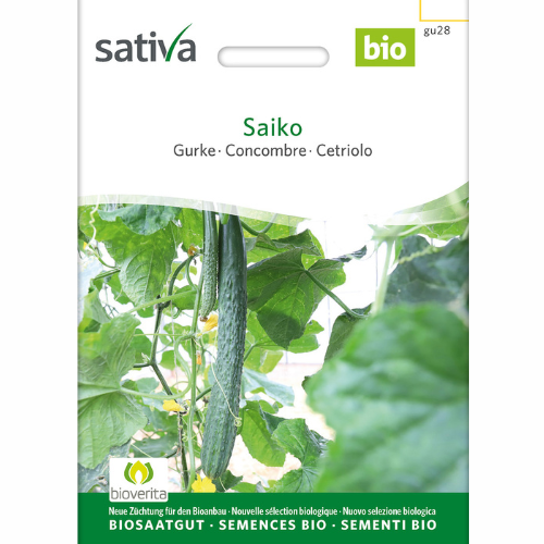 Cucumber – Saiko RS