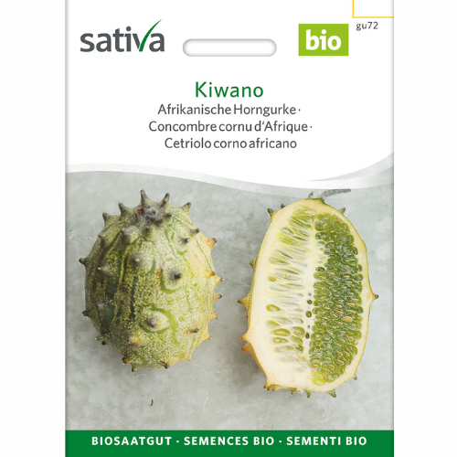 Kiwano – African prickly pear / horned melon