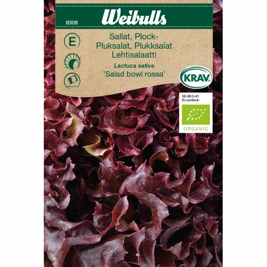 Lettuce, pick – KRAV Salad Bowl Rossa