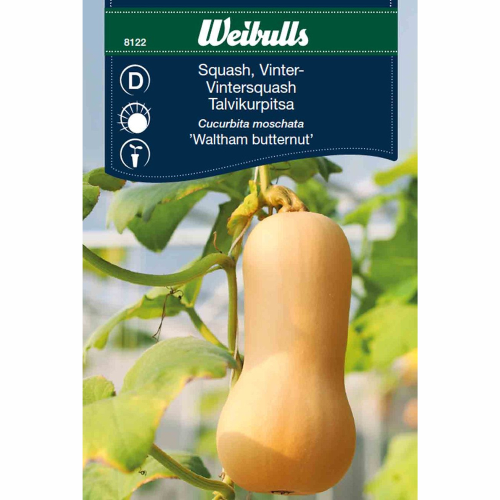 Butternutsquash – Waltham Butternut