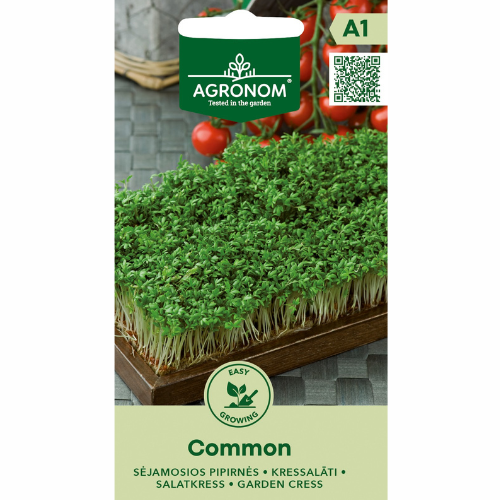 Garden Cress – Common