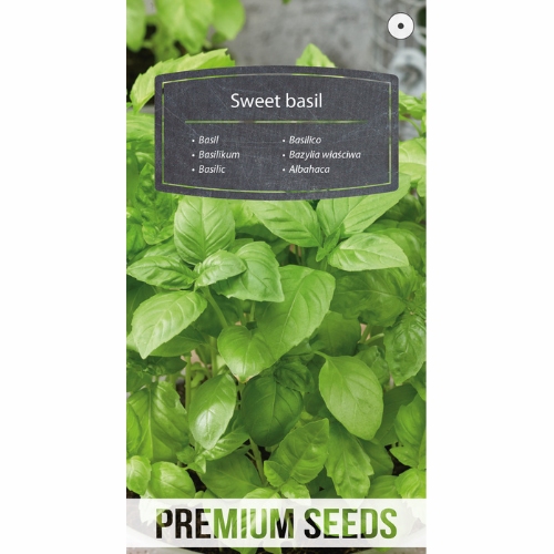 Basilika - Sweet Basil