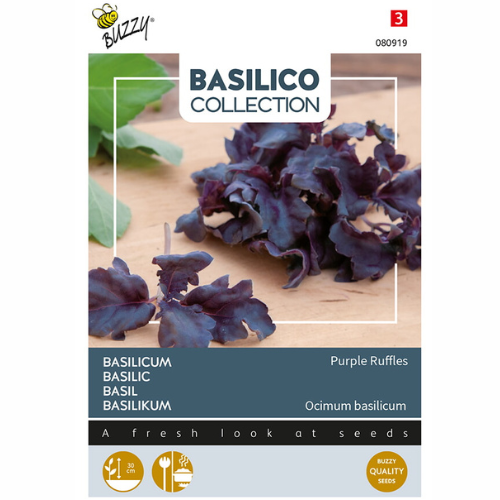 Basilika &