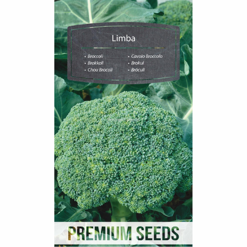 Broccoli &