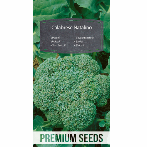 Broccoli &