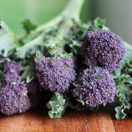 Broccoli &