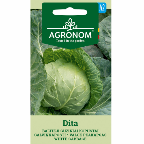 Vitkål &