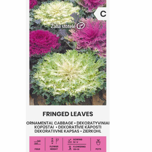 Prydnadskål med flikiga blad