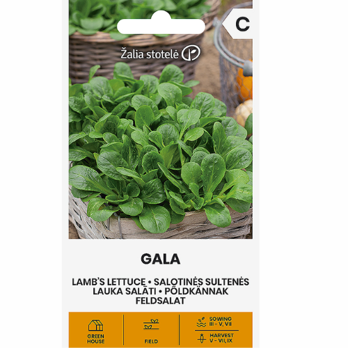 Winter salad Mâche - Gala