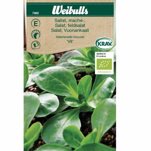 Ekologisk Mâchesallat &