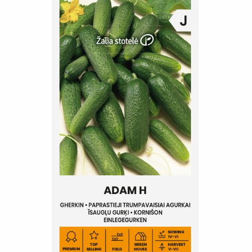 Agurk - Sylteagurk &