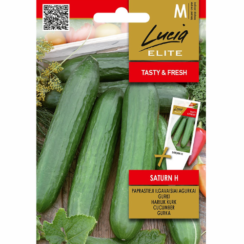 Cucumber - Salad cucumber &