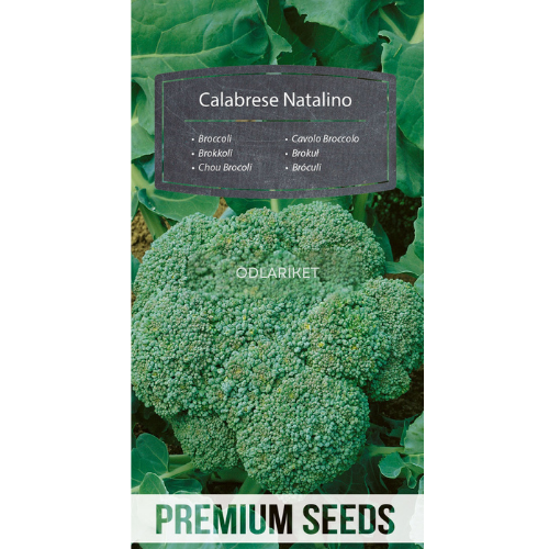 Broccoli – Calabrese Natalino - 270 frön