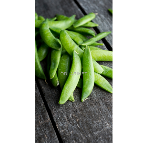 Sugar pea - Ambrosia - 300 seeds