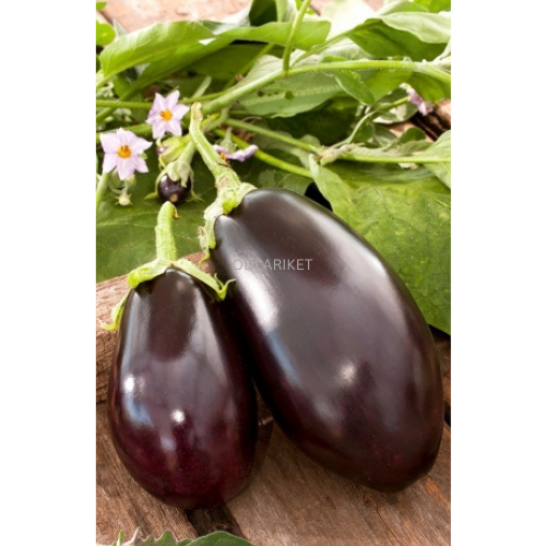 Eggplant &