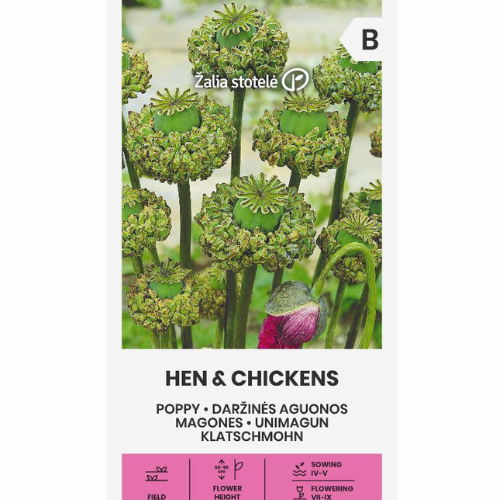 Poppy - Hen &amp;amp; Chickens