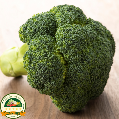 Broccoli – Calabrese Natalino - 270 frön