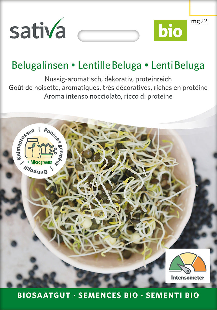 Organic Beluga Lentil Sprouting Seeds 50 g