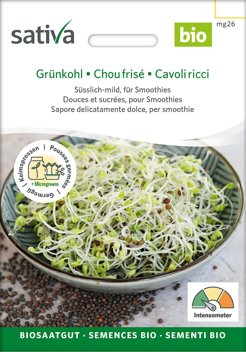 Organic Kale Sprouting Seeds 25 g