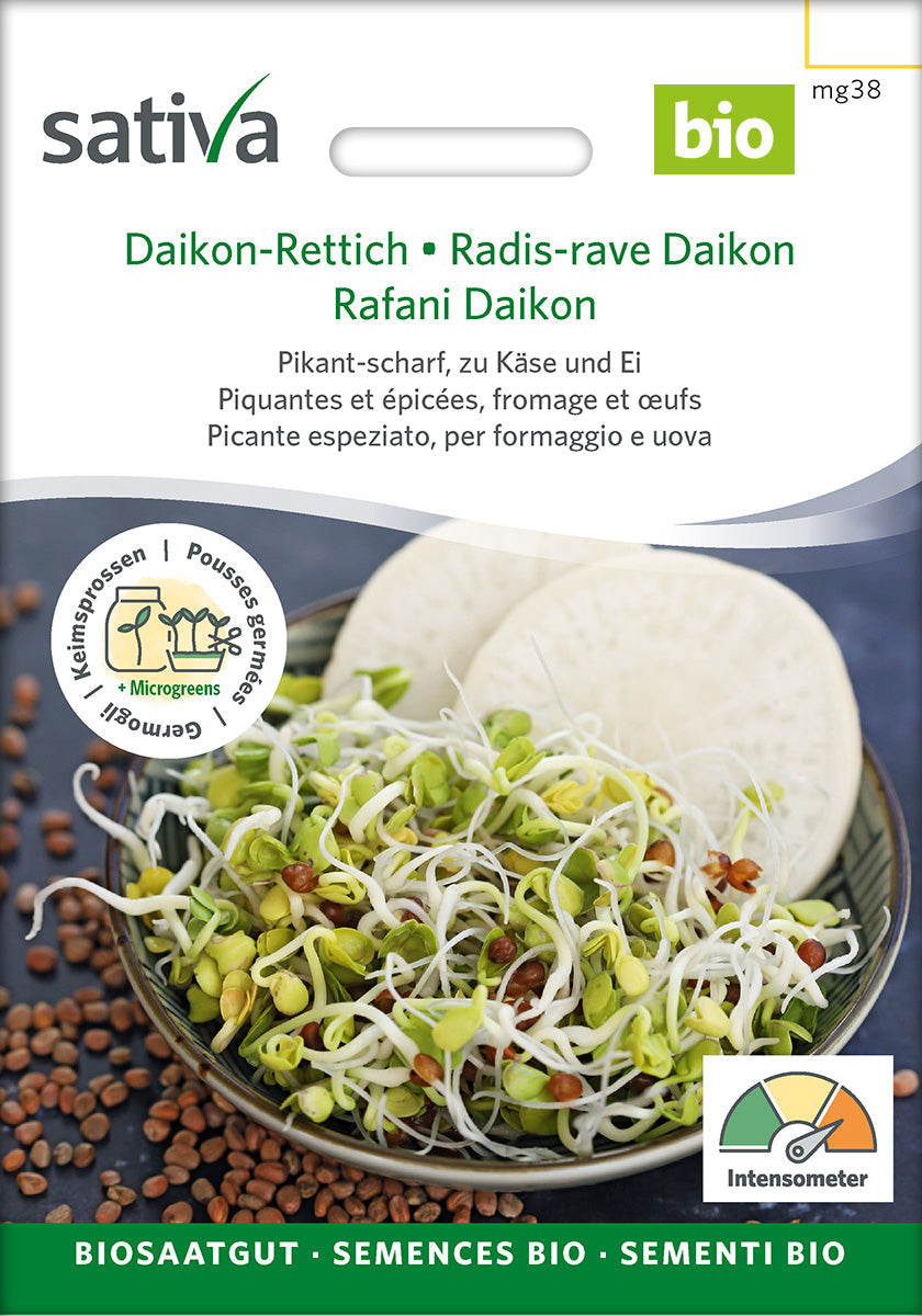 Organic Daikon Radish Sprouting Seeds 25 g