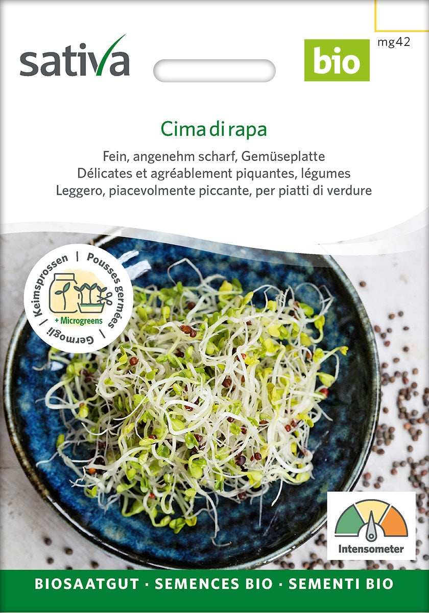 Organic Cima di Rapa Sprouting Seeds 25 g