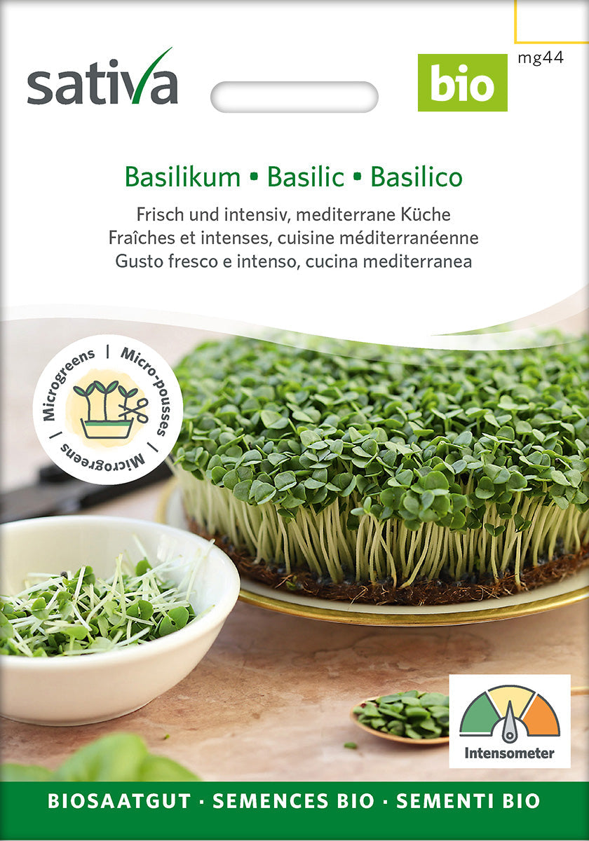 Organic Basil Sprouting Seeds 25 g