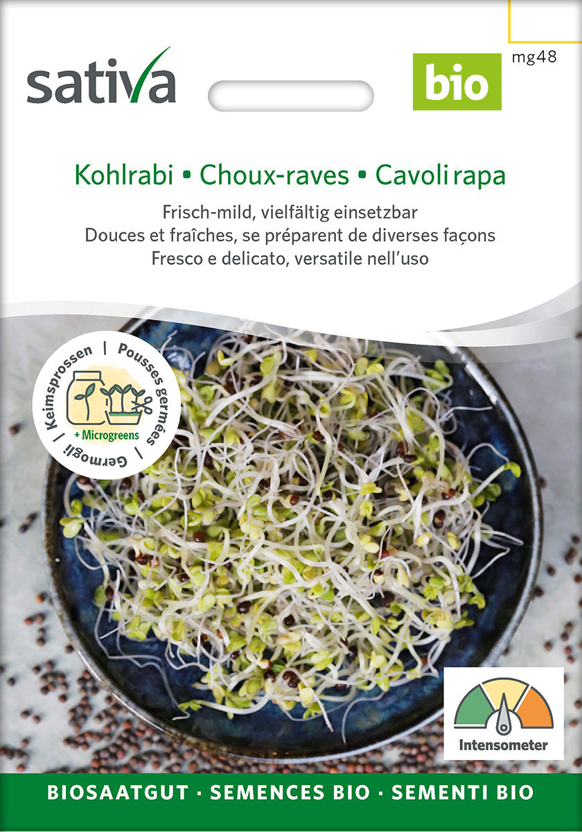 Organic Kohlrabi Sprouting Seeds 25 g