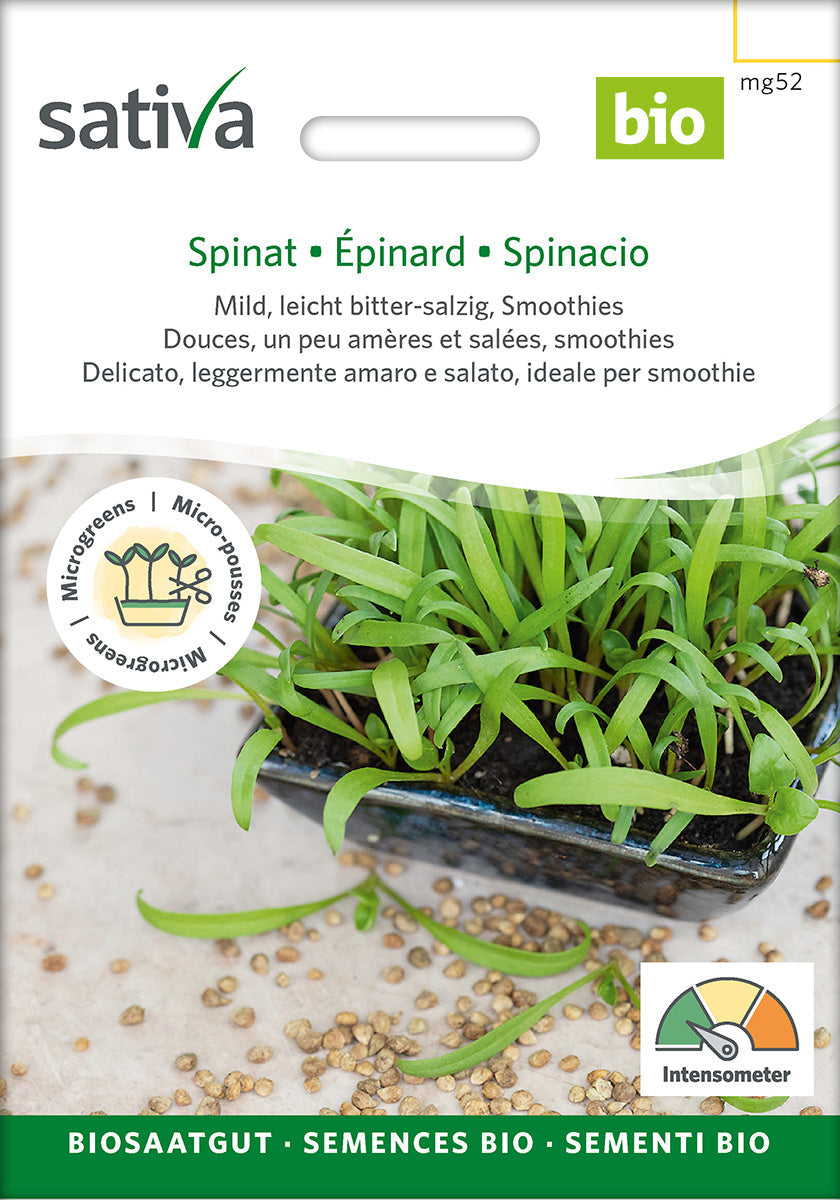 Organic Spinach Sprouting Seeds 25 g