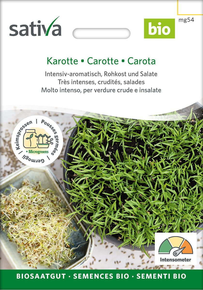 Organic Carrot Sprouting Seeds 25 g